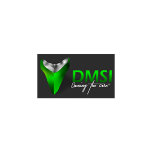 DMSI International